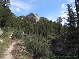 A large rock outcrop in the Rincon Mountains.