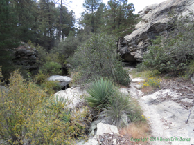 The canyon closes in.