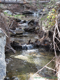 A little stream in the Rincon Mountains trips and falls down hte mountain.