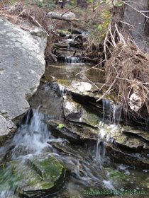 A little stream in the Rincon Mountains trips and falls down hte mountain.