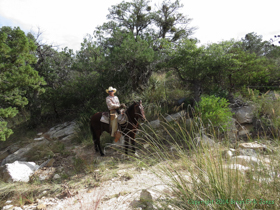 A cowboy riding up the Rincon Mountains.