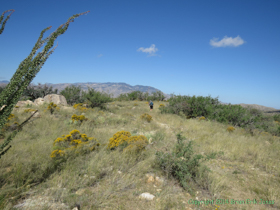 Hiking in the gap between the Rincon Mountains and the Santa Catalina Mountains.