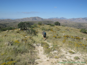 Jerry and Cheetah descending the Rincon Mountains.