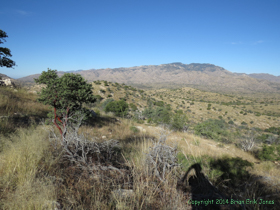 View of the surrounding area.
