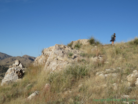 Cheetah cresting a hill on Passage 10.