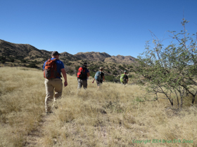 The wagon train rolls on across the grassland.