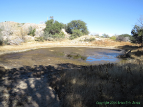 A cattle tank on Passage 10 of the Arizona Trail.  Glad we didn't have to filter that and drink it!