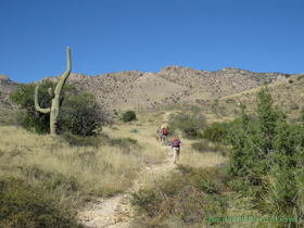 This Saguaro Cactus looks like a broken finger.