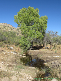 xxThe water source for the metal tank.x