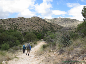 Cheetah and Jerry on Passage 11.