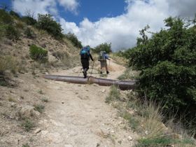 Cheetah and Jerry on Passage 11.