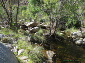 Sabino Creek near Hutch's Pool.