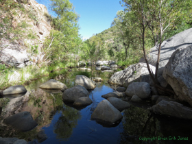 Sabino Creek near Hutch's Pool.