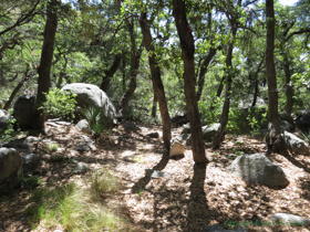 Moving up through the oak elevations.