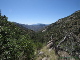 View down upper west fork of Sabino Creek.