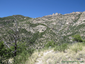 View up into higher country.