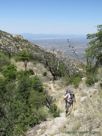 Cheetah and Jerry ascending a ridgeline.