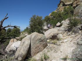 Jerry is happy to be hiking through a relatively flat section of trail.