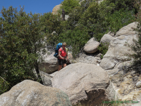 Cheetah snaking her way through eroded bedrock.