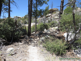 The trail starts to get less steep towards the top.