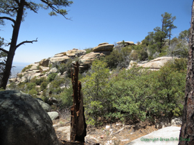 More bedrock in the Santa Catalina Mountains.