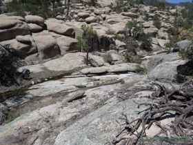 Lemmon Creek flowing over bedrock.