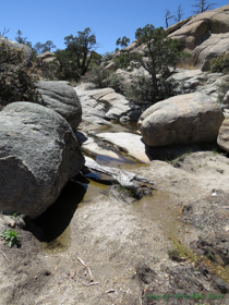 A tributary to Lemmon Creek.