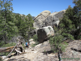 Cheetah makes her way through the land of giant boulders.