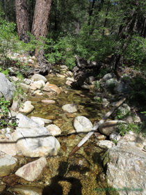 Unless that smooth, fern-lined trail also crosses a babbling brook.  What's next, rainbows and unicorns?