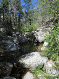 A nice pool high in the Santa Catalina Mountains.