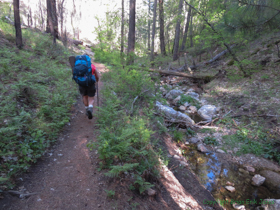 It's always good to be following a creek in the same direction it's going.