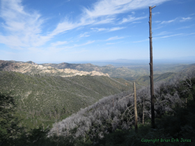 The footprint of the fire can be seen off in the distance due to the stubble like trees.