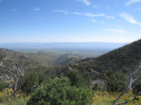View to the north from AZT Passage 12.