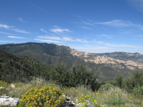 View of the upper Santa Catalina Mountains from AZT Passage 12.