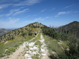 Cheetah, Shaun and Jerry ridgewalk along an old road.