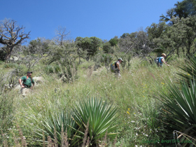 Shaun doing his world famous teapot impression as Jerry and Andrea hike on.