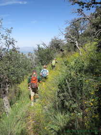 Sing with me:  'The hills are alive, with the sound of music!'