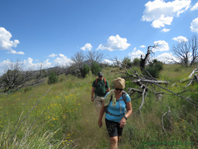 Shaun and Cheetah shushing through the grass along AZT Passage 12.