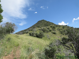 Who says Arizona isn't green?