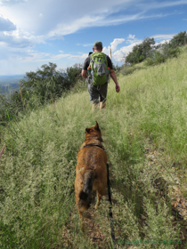 Jerry and Kintla trying to blend in.