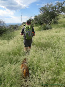 Jerry and Kintla demonstrate their mastery of disquise.