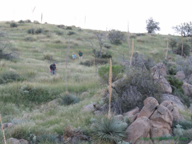 Jerry, Cheetah and Shaun descending towards American Flag.