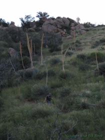 Jerry descending a bouldery slope near the end of AZT Passage 12.