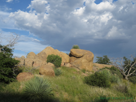 The late afternoon light on the boulders was magical.