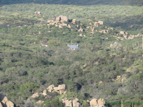 American Flag peeks out above the trees down below.