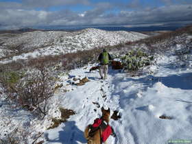 Jerry hiking along the snow covered Arizona Trail Passage 14.