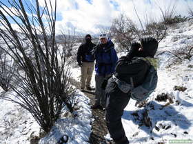 Cheetah trying very unsuccessfully to get out of the picture.