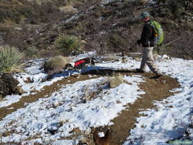 Jerry hiking along AZT Passage 14.