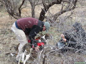 Jerry and Cheetah having lunch during a snow flurry on AZT Passage 14.