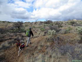 Jerry hiking along AZT Passage 14.